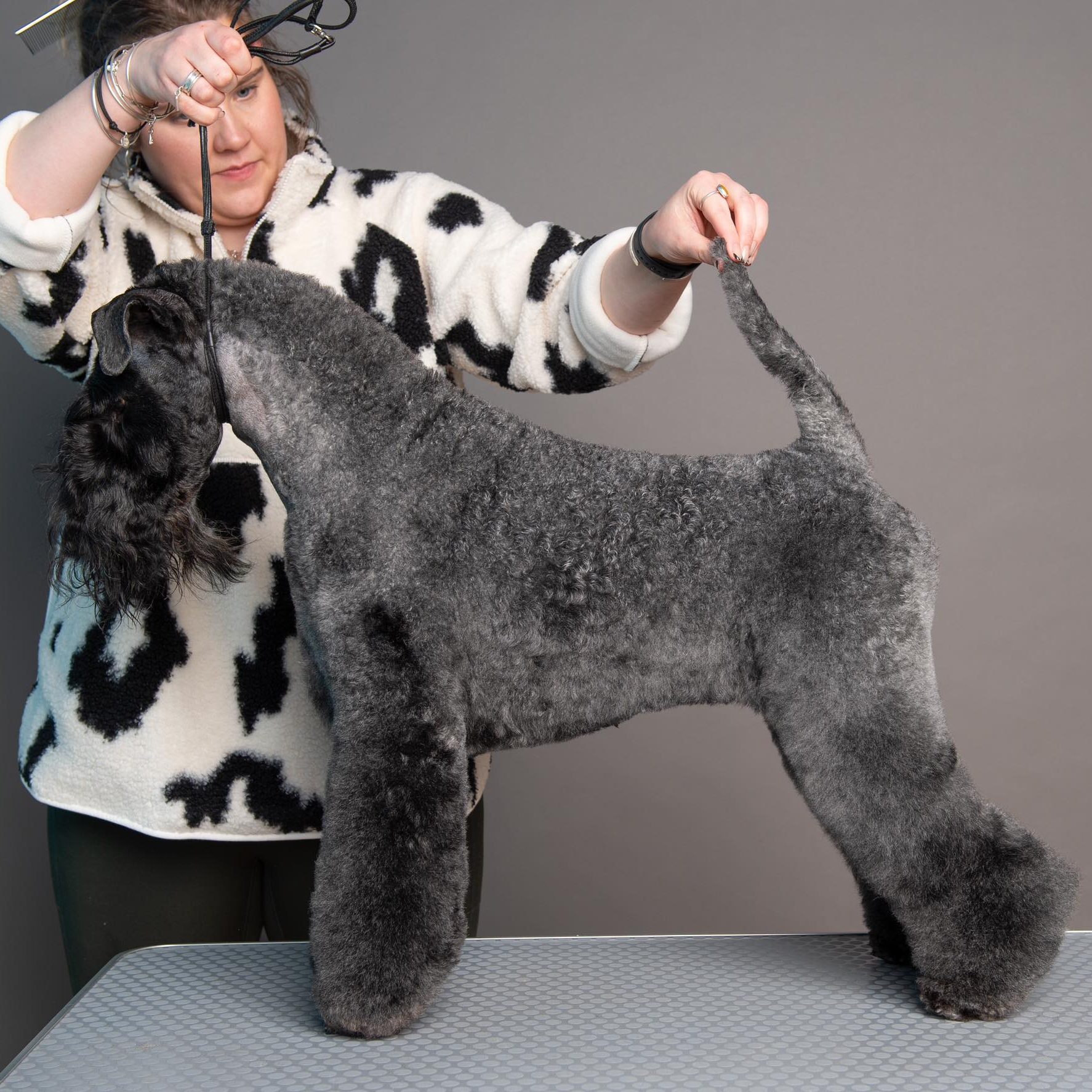 New Purebreed Supreme Champion – Connie Walker