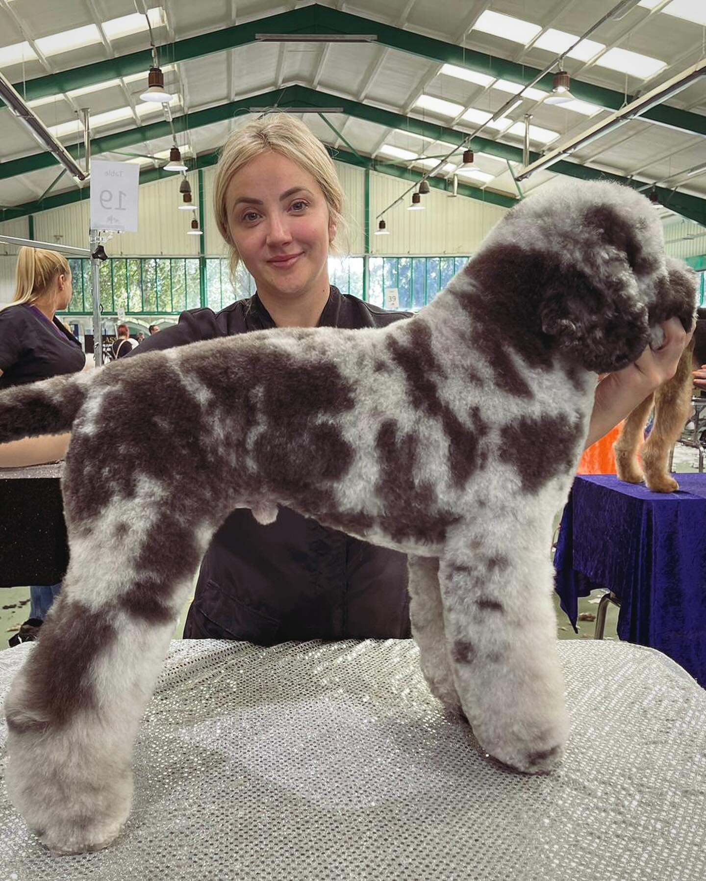 New Salon Freestyle Supreme Champion – Kara Boyd