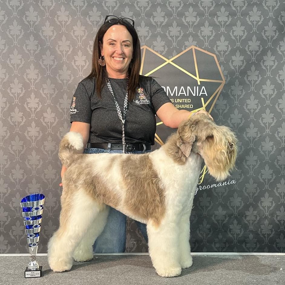 New Salon Freestyle Supreme Champion – Cassandra Stephens