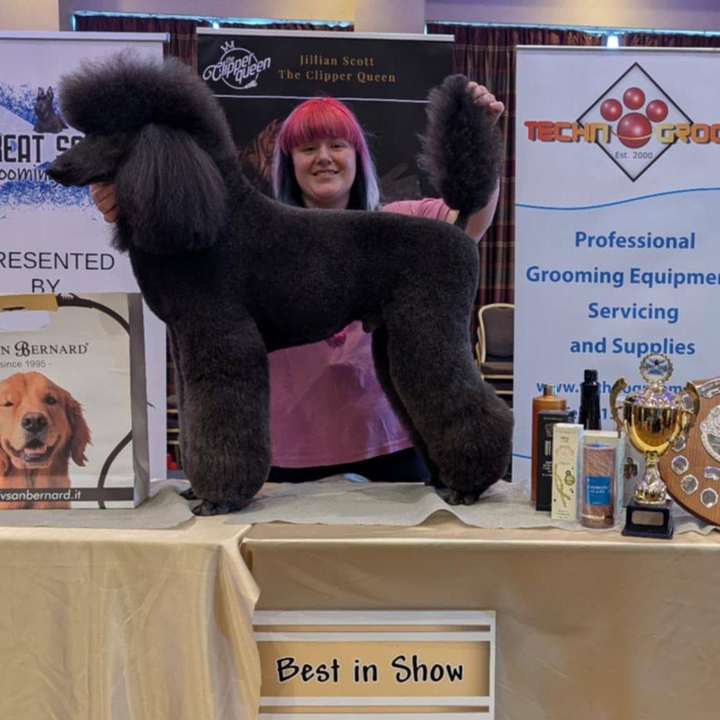 Congratulations Best In Show Winner Holly Anastasia Mills at Great Scot Grooming Show 2025