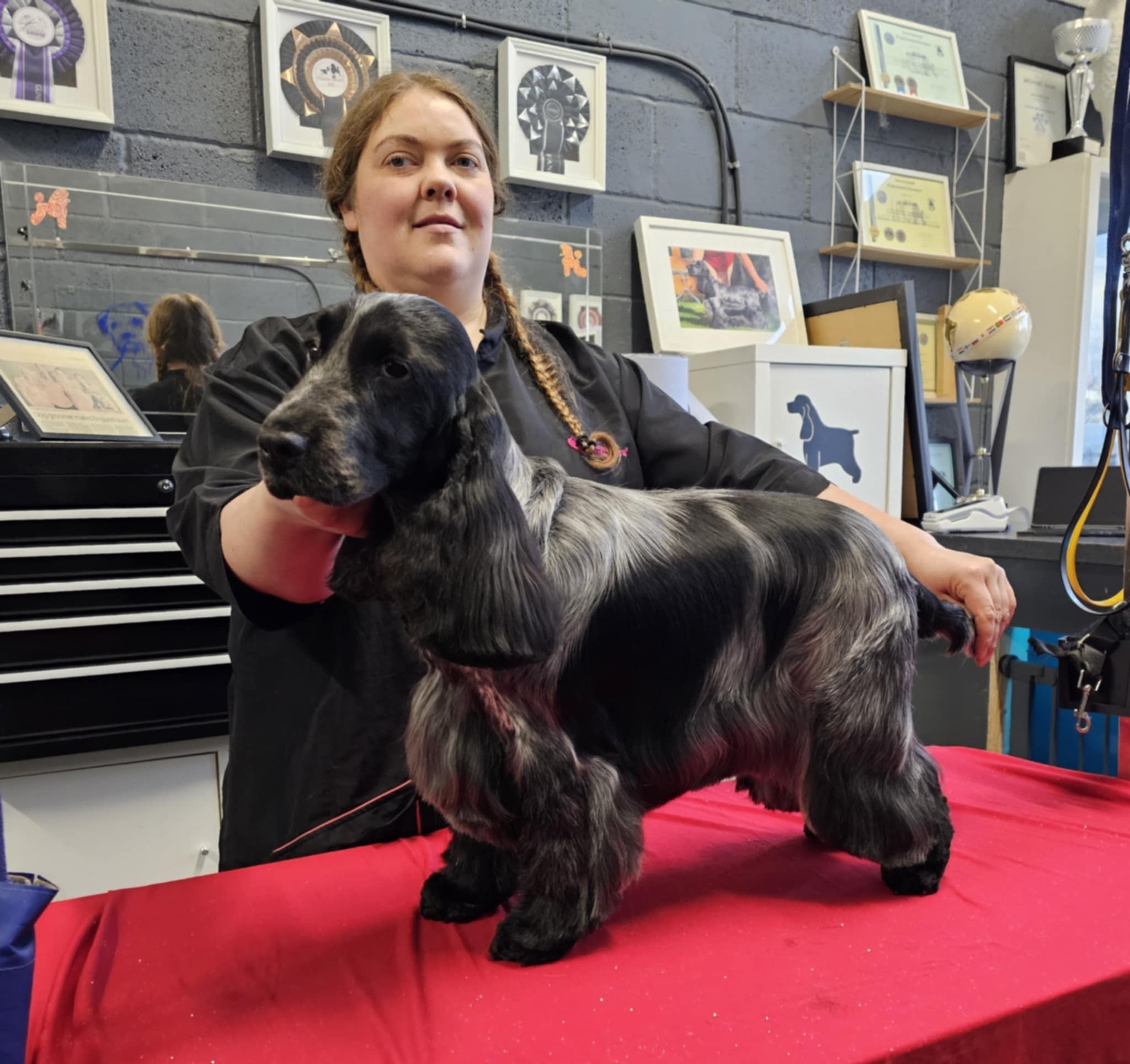 New Gundog Grand Champion – Rebecca Pocock