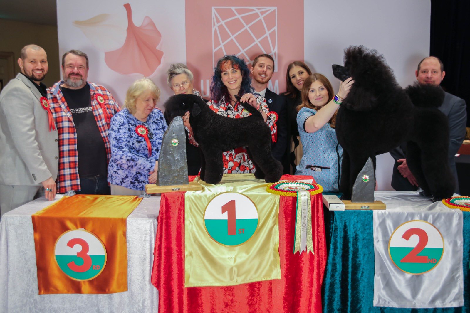 Congratulations Best In Show Winner Samantha Smethurst at The Welsh Grooming Show 2026