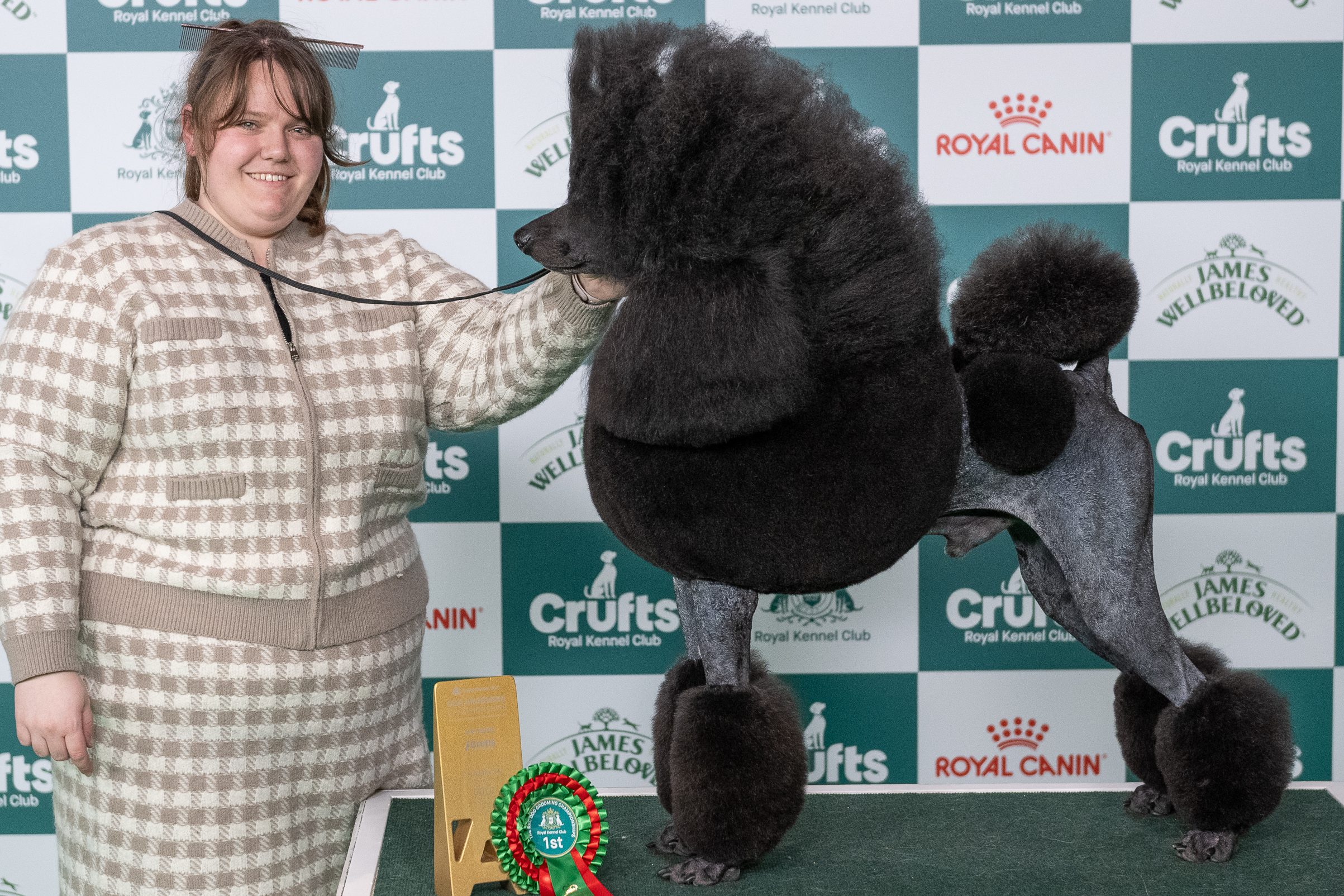 New Poodle Supreme Champion – Rebecca Moores