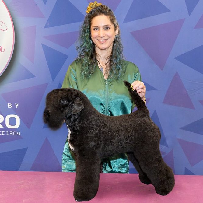 New Workshop Supreme Champion – Samantha Smethurst