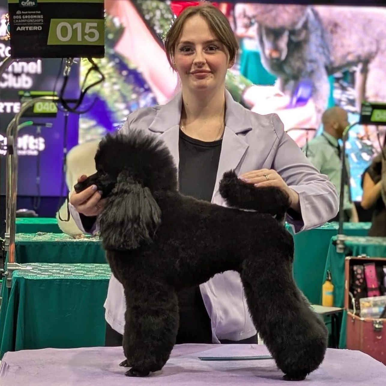 New Poodle Grand Champion – Ellie-Mai Baranowski
